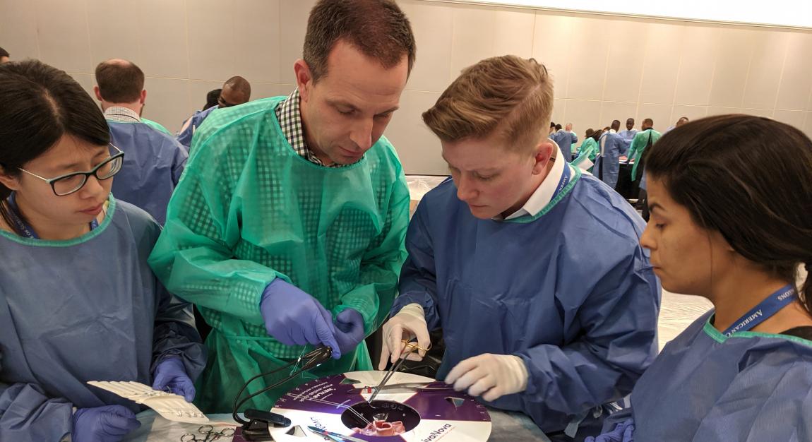 Surgeon with three trainees suture a pig heart