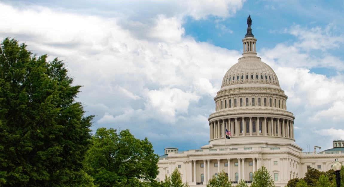 US Capitol building with trees