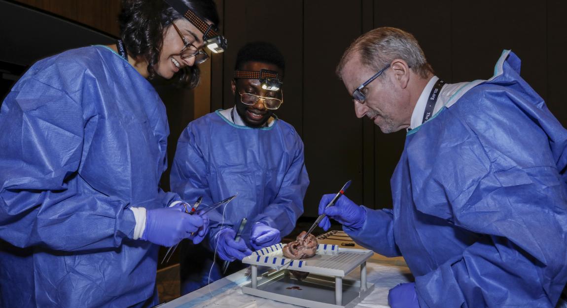 Surgeons in Hands-On Session