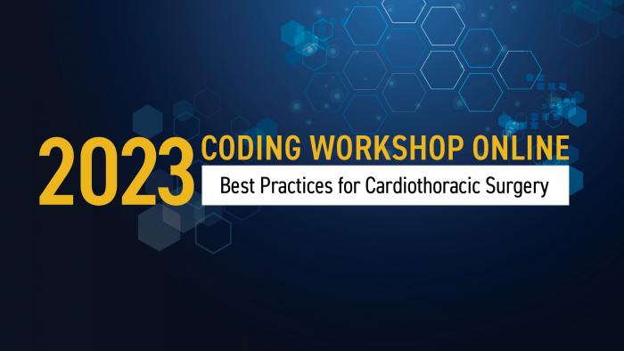 Coding Workshop Online