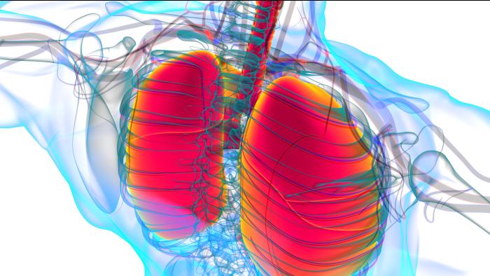 lung preservation 