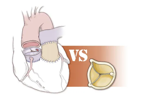 Alabbadi et al_From Dr Chen