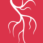 Graphic of white vein on red background