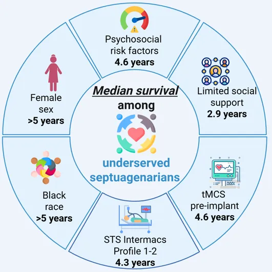 Median Survival Circle