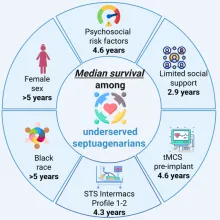 Median Survival Circle